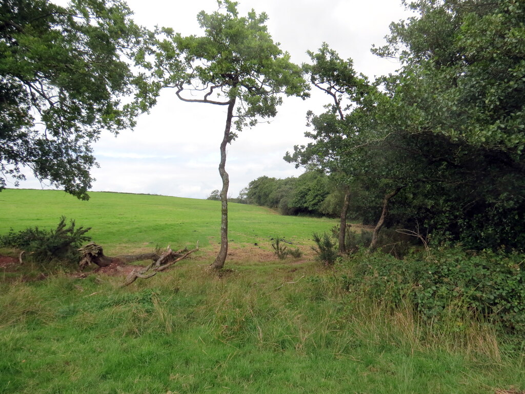 Pen-y-maes-footpath